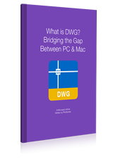 What is DWG